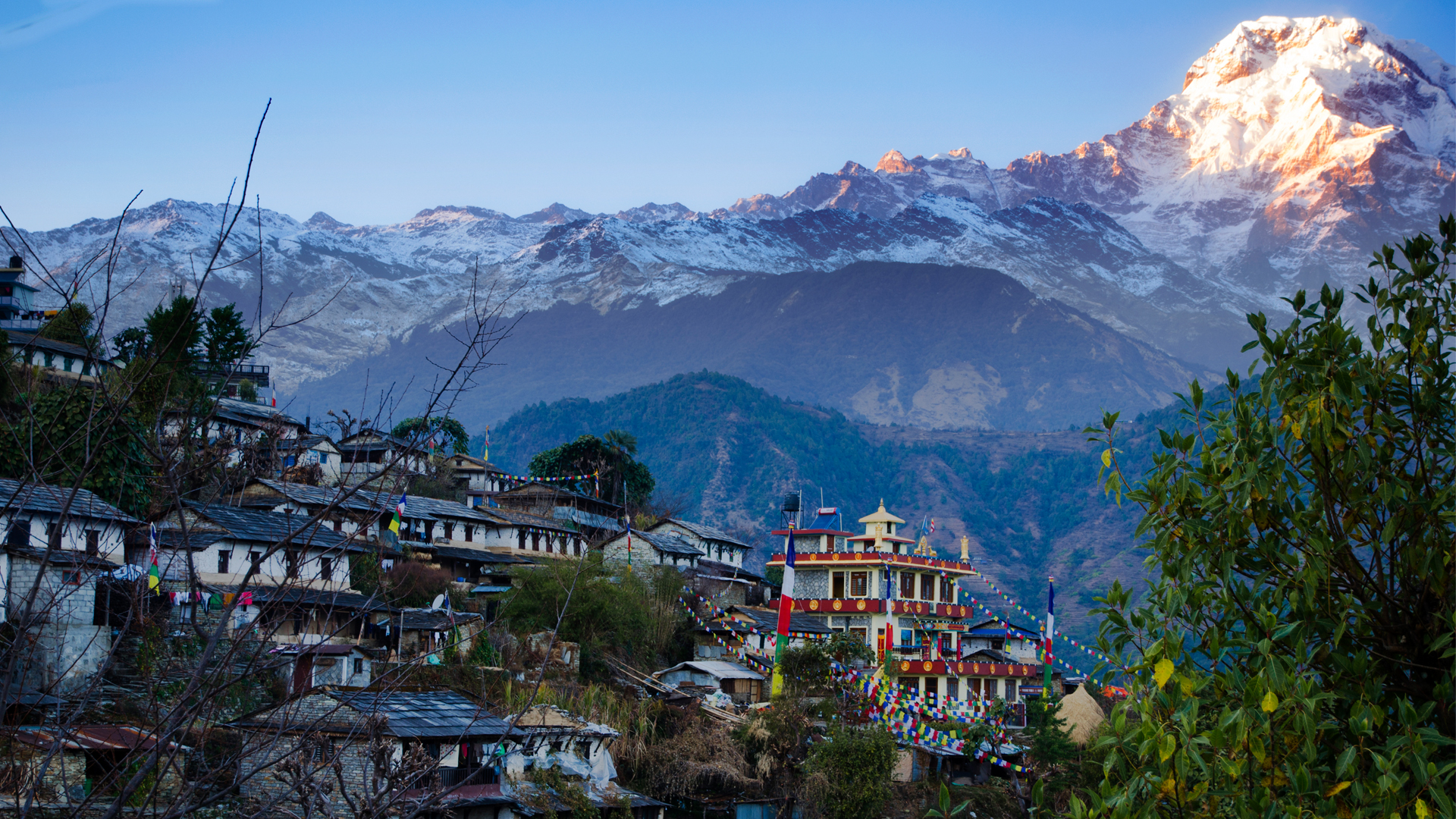 Nepal Tour Packages